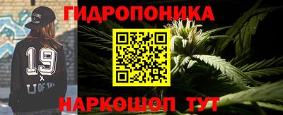 PSILOCYBIN Гусь-Хрустальный
