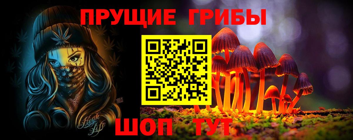 Мыски  Псилоцибиновые грибы GOLDEN TEACHER  Галлюциногенные грибы GOLDEN TEACHER  Вход с VPN 